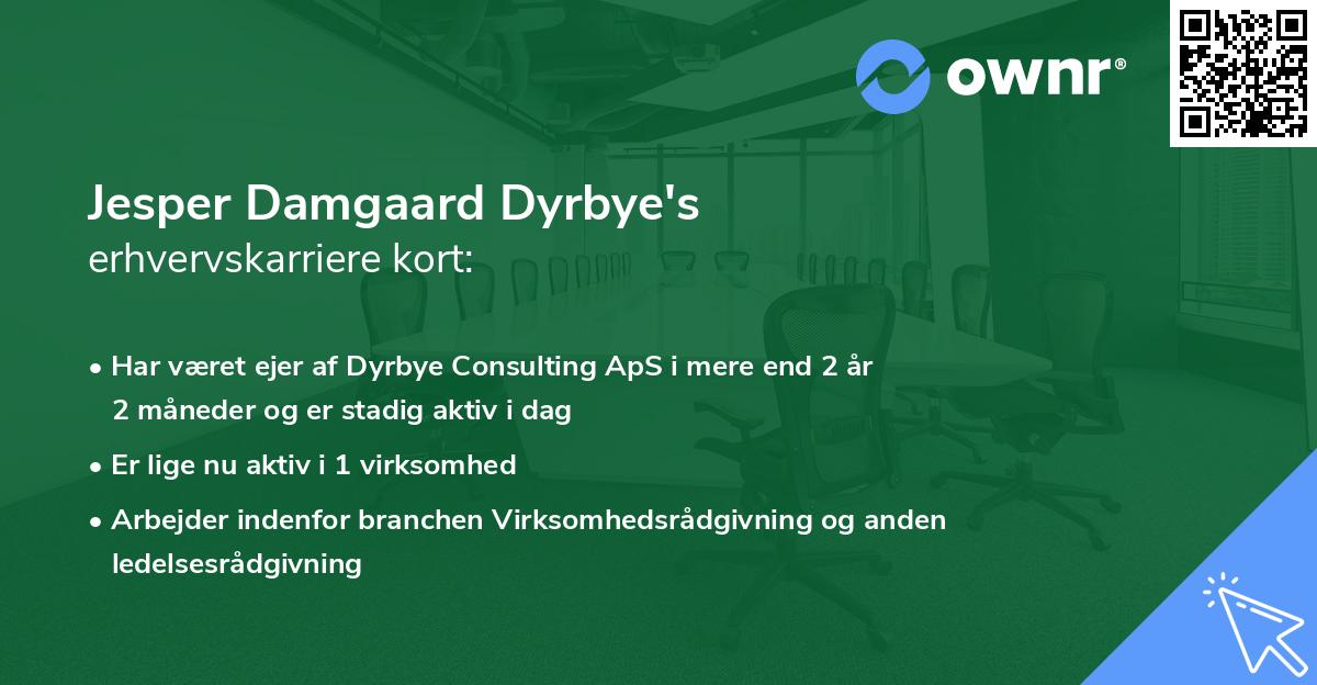Jesper Damgaard Dyrbye's erhvervskarriere kort