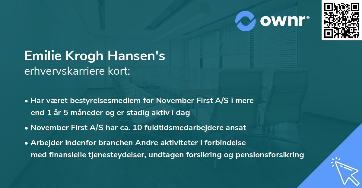 Emilie Krogh Hansen's erhvervskarriere kort