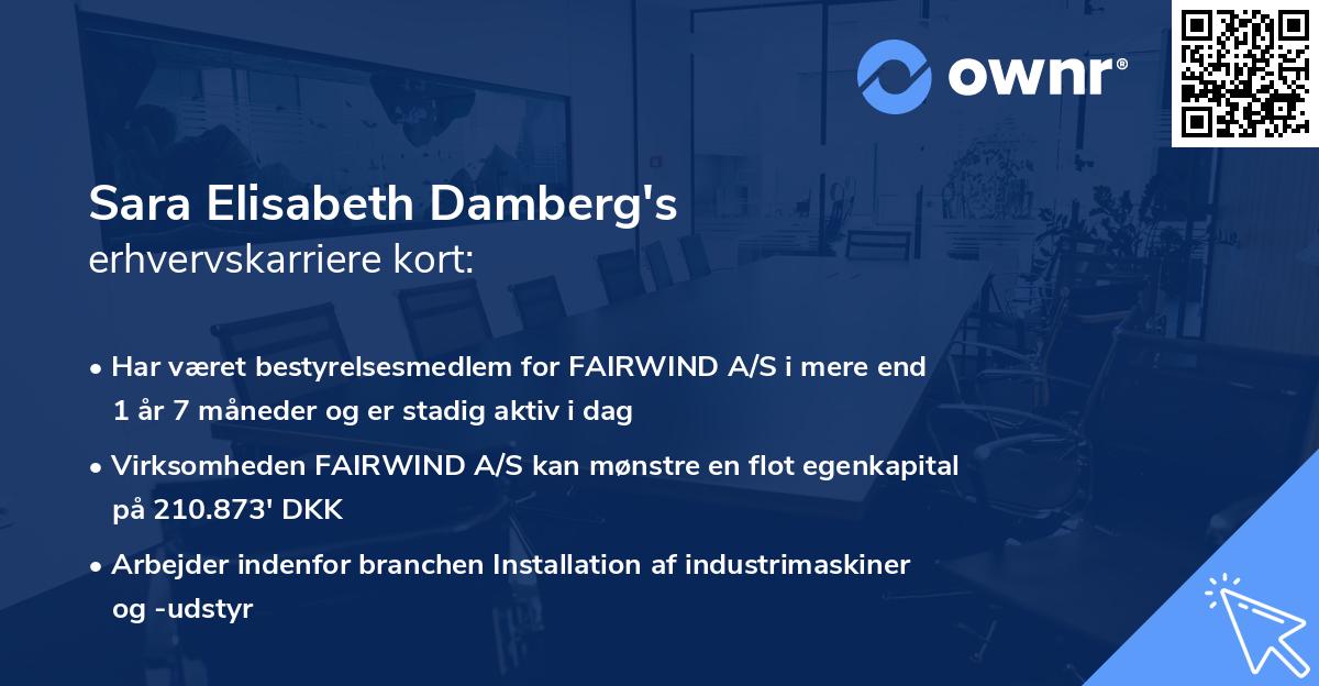 Sara Elisabeth Damberg's erhvervskarriere kort