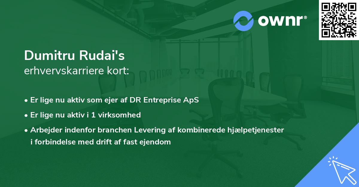 Dumitru Rudai's erhvervskarriere kort