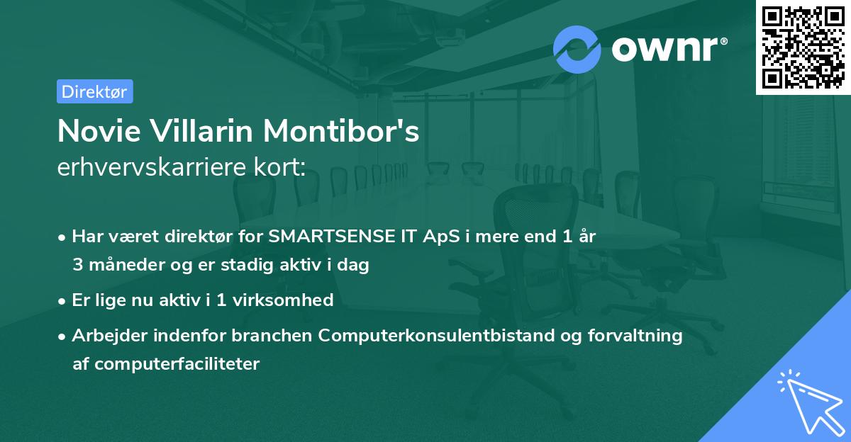 Novie Villarin Montibor's erhvervskarriere kort