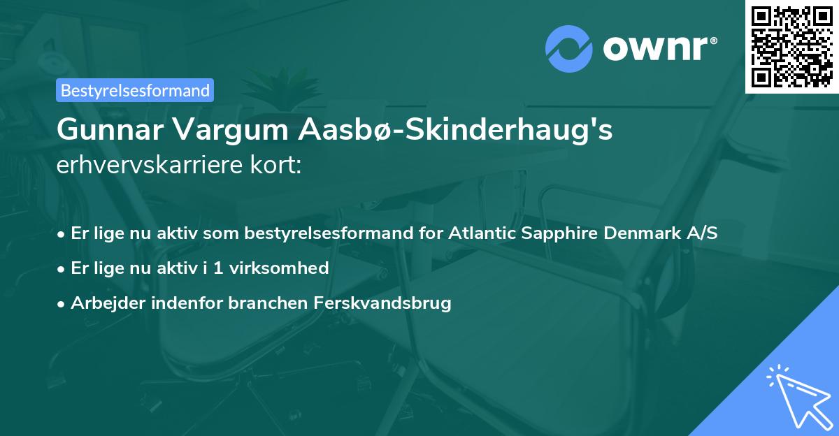 Gunnar Vargum Aasbø-Skinderhaug's erhvervskarriere kort