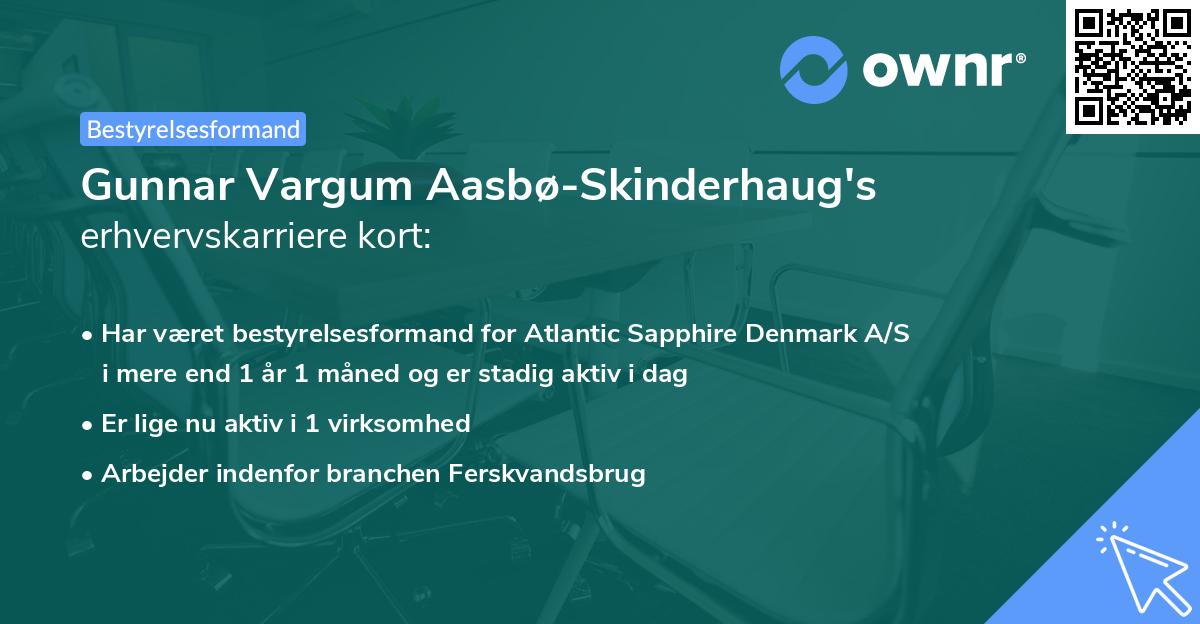 Gunnar Vargum Aasbø-Skinderhaug's erhvervskarriere kort