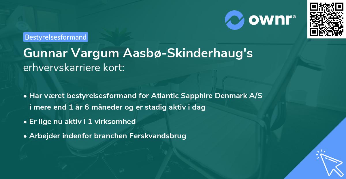 Gunnar Vargum Aasbø-Skinderhaug's erhvervskarriere kort