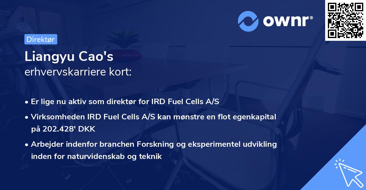 Liangyu Cao's erhvervskarriere kort