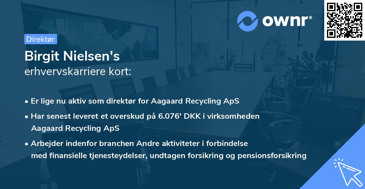 Birgit Nielsen's erhvervskarriere kort