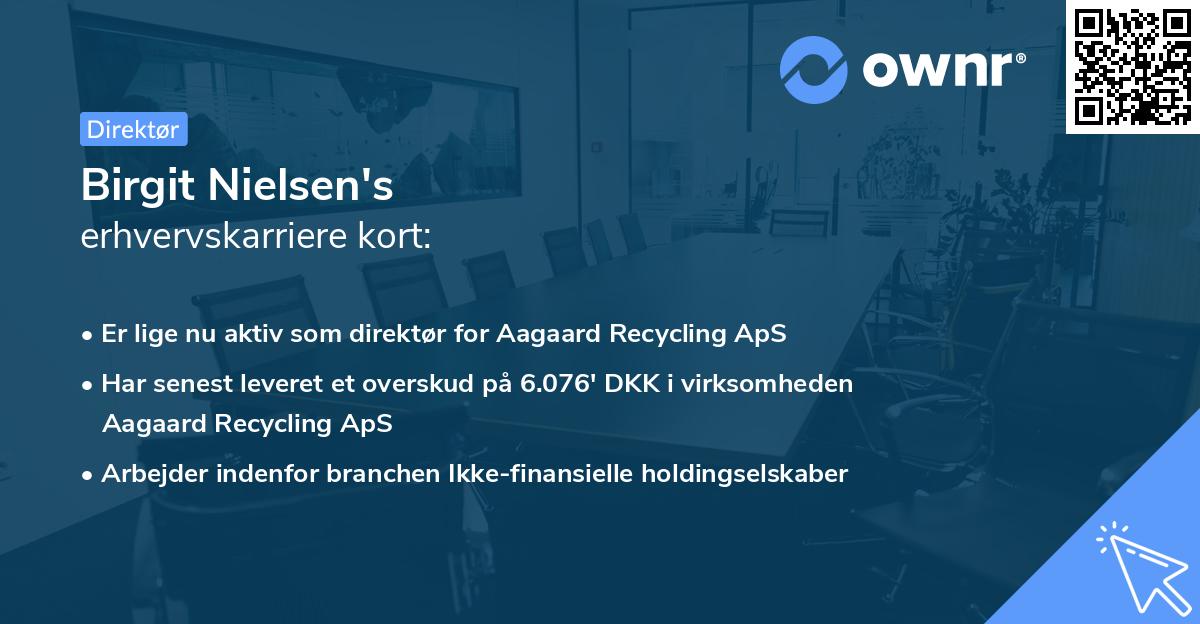 Birgit Nielsen's erhvervskarriere kort