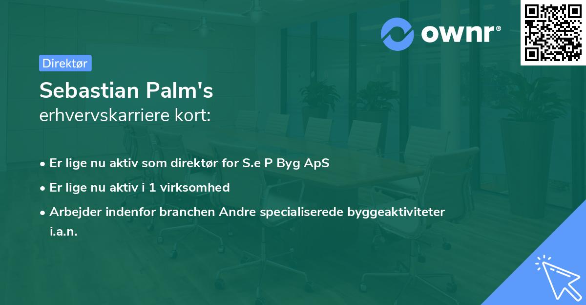 Sebastian Palm's erhvervskarriere kort