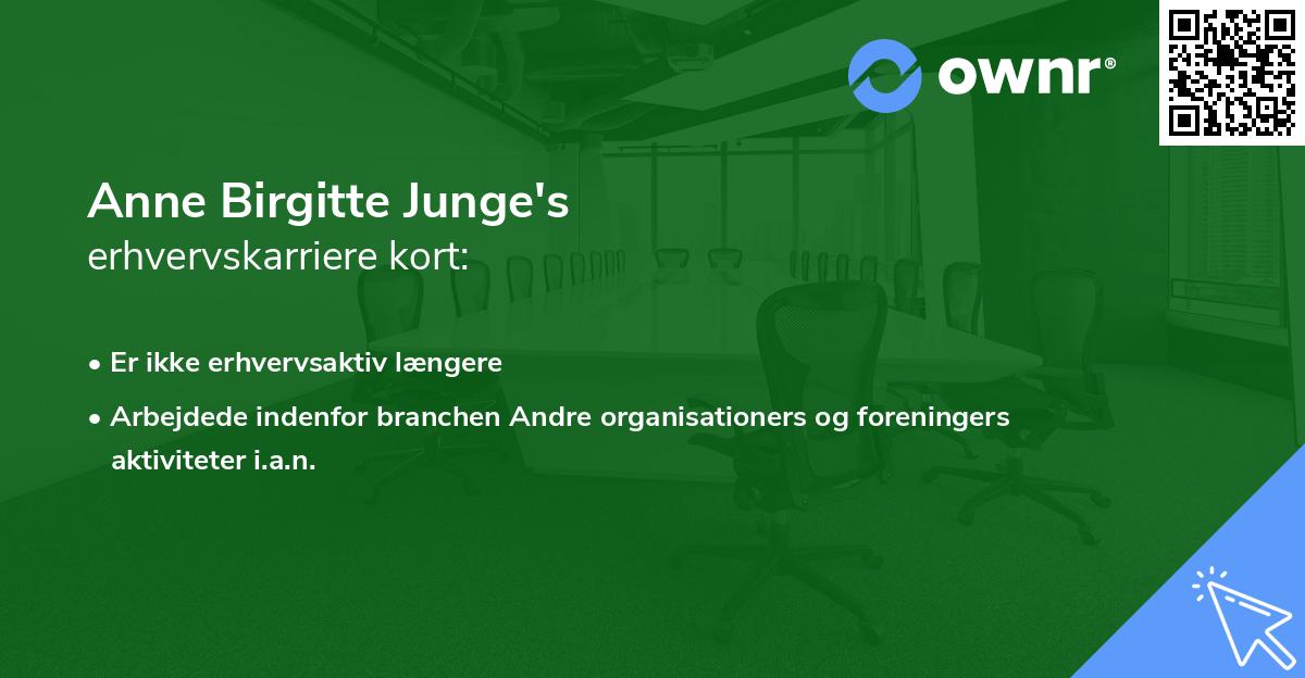 Anne Birgitte Junge's erhvervskarriere kort