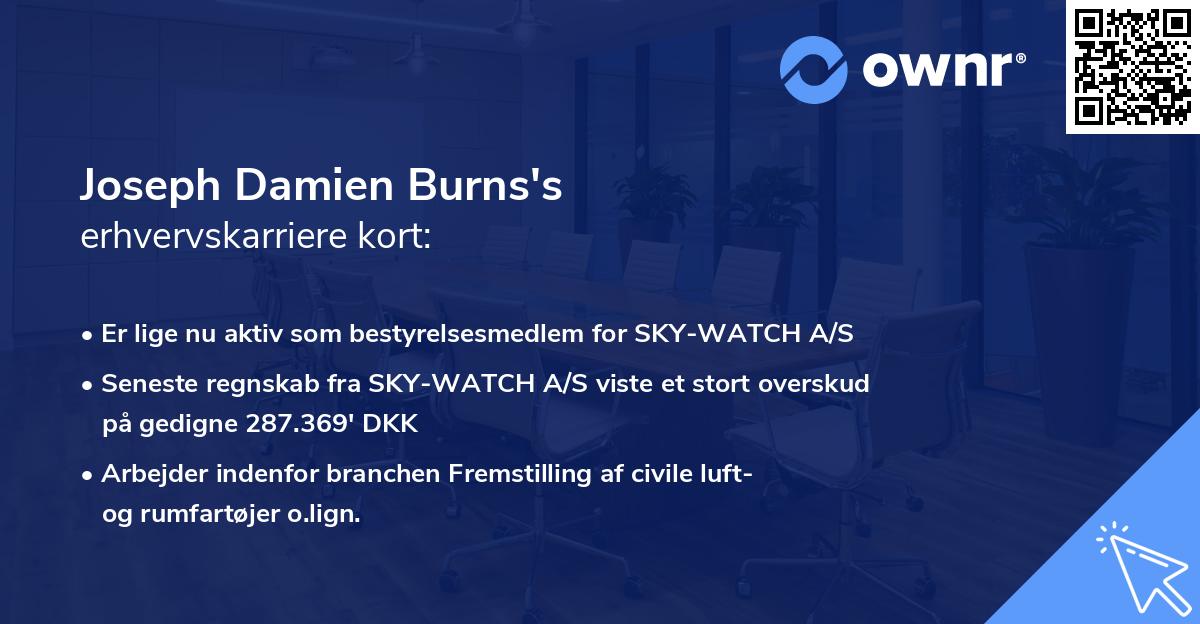 Joseph Damien Burns's erhvervskarriere kort