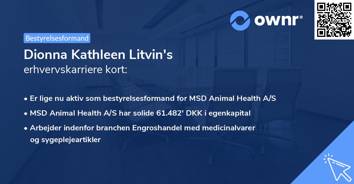 Dionna Kathleen Litvin's erhvervskarriere kort