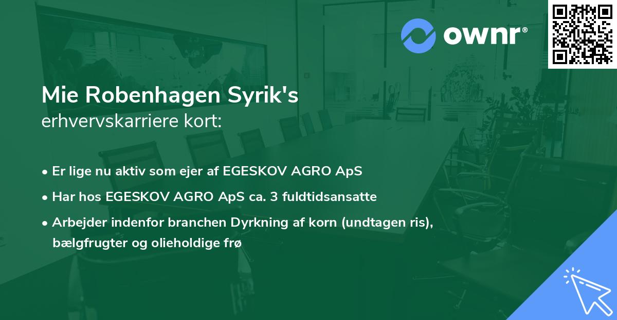 Mie Robenhagen Syrik's erhvervskarriere kort