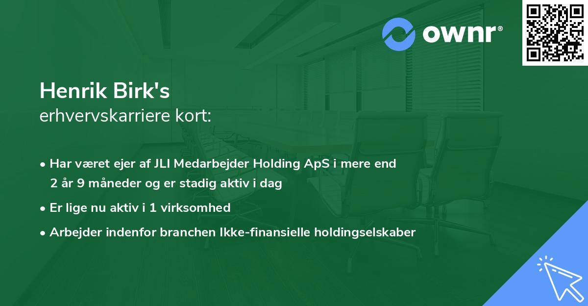 Henrik Birk's erhvervskarriere kort
