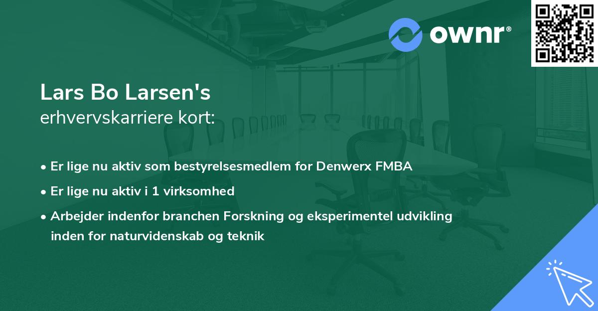 Lars Bo Larsen's erhvervskarriere kort