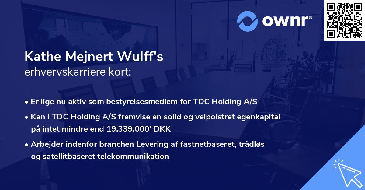 Kathe Mejnert Wulff's erhvervskarriere kort