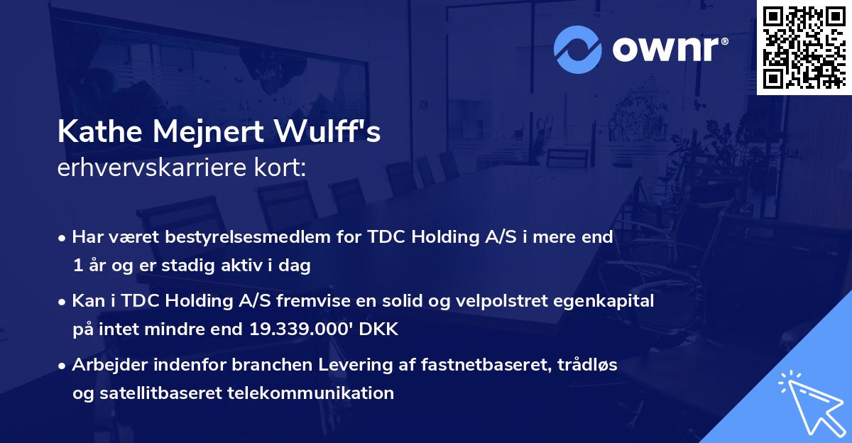 Kathe Mejnert Wulff's erhvervskarriere kort