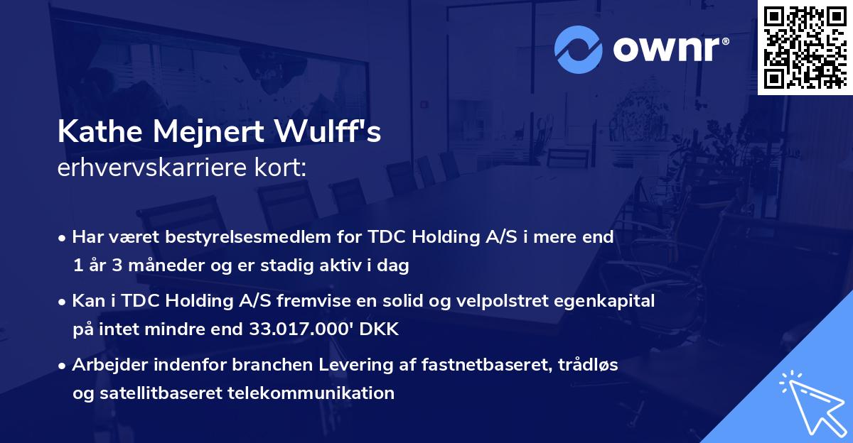 Kathe Mejnert Wulff's erhvervskarriere kort