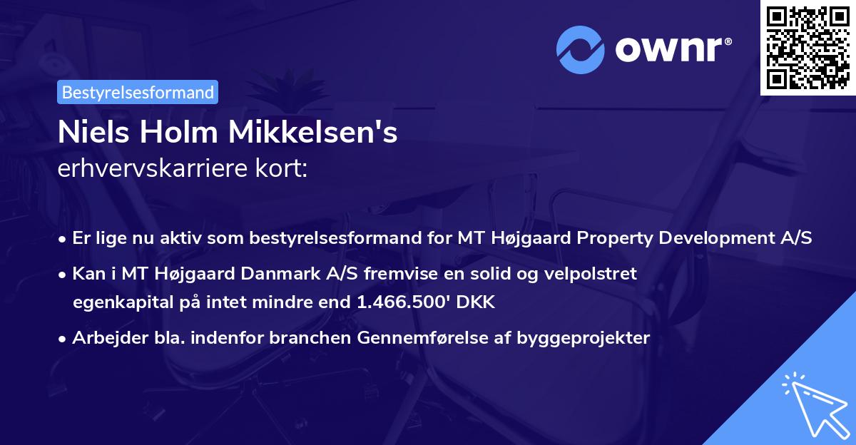 Niels Holm Mikkelsen's erhvervskarriere kort