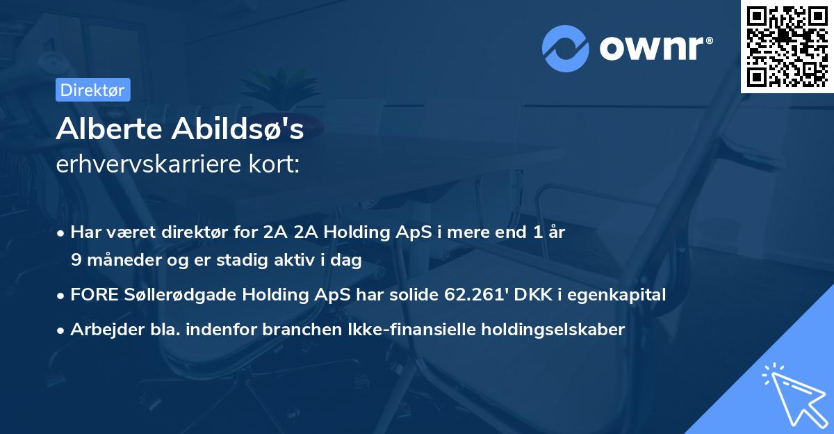 Alberte Abildsø's erhvervskarriere kort