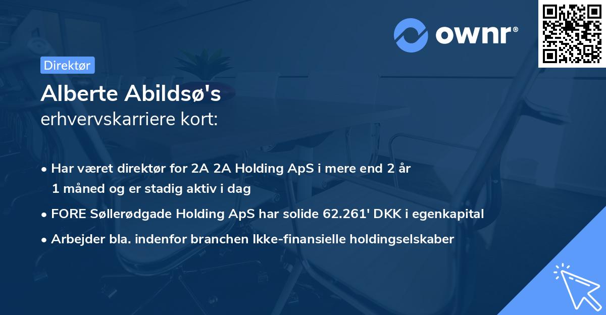 Alberte Abildsø's erhvervskarriere kort