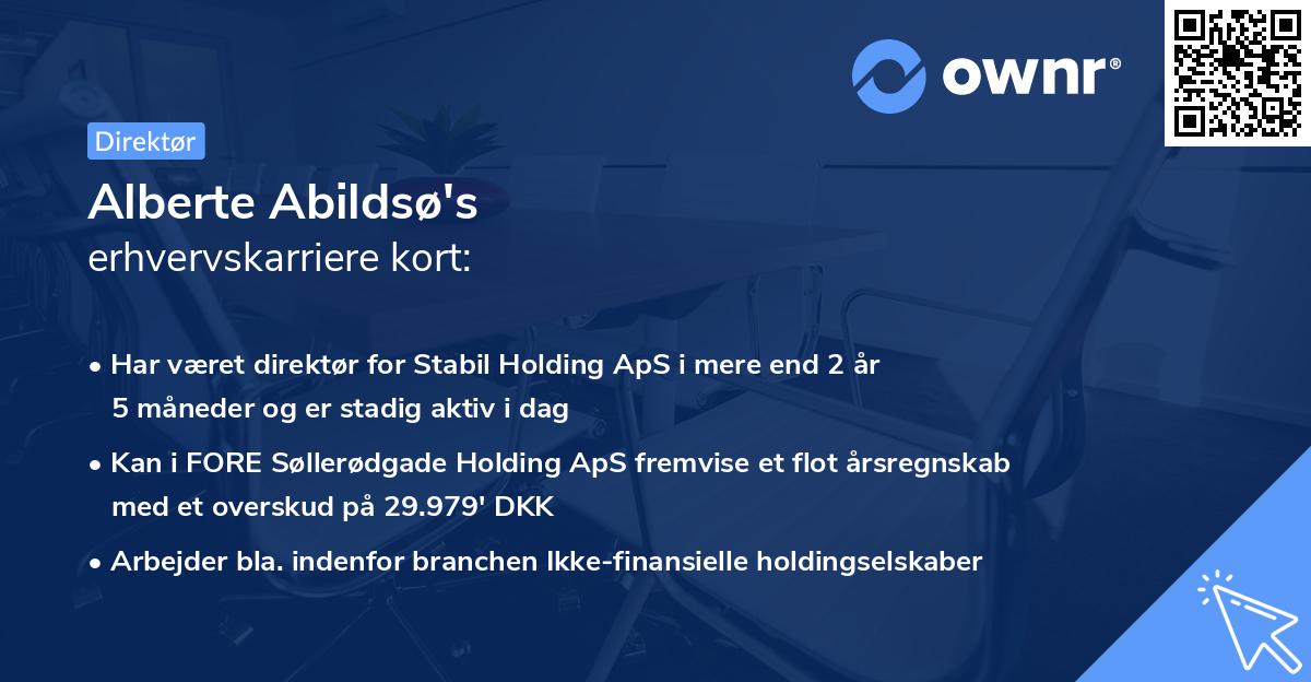 Alberte Abildsø's erhvervskarriere kort
