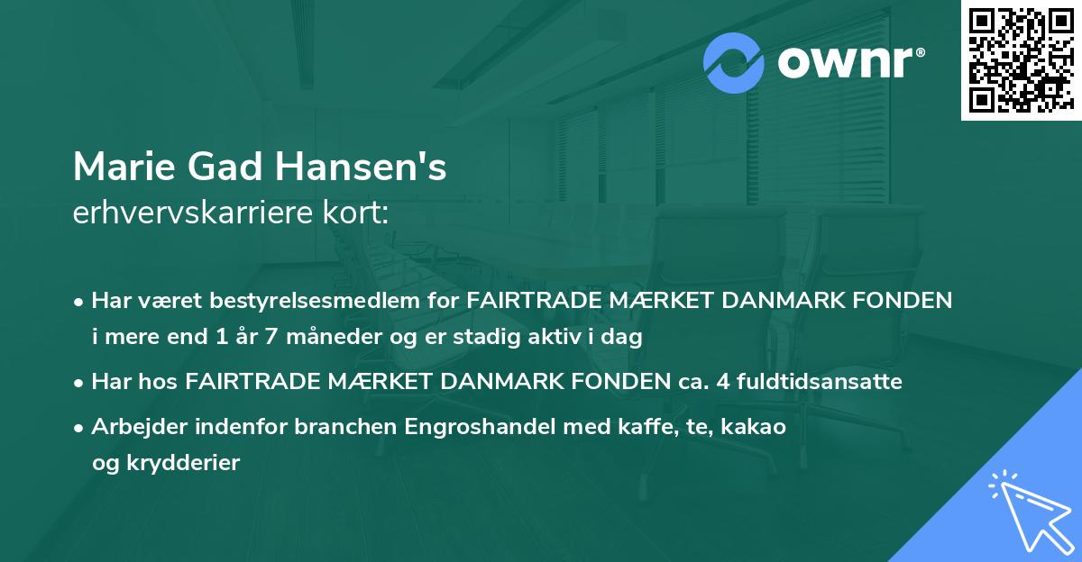Marie Gad Hansen's erhvervskarriere kort