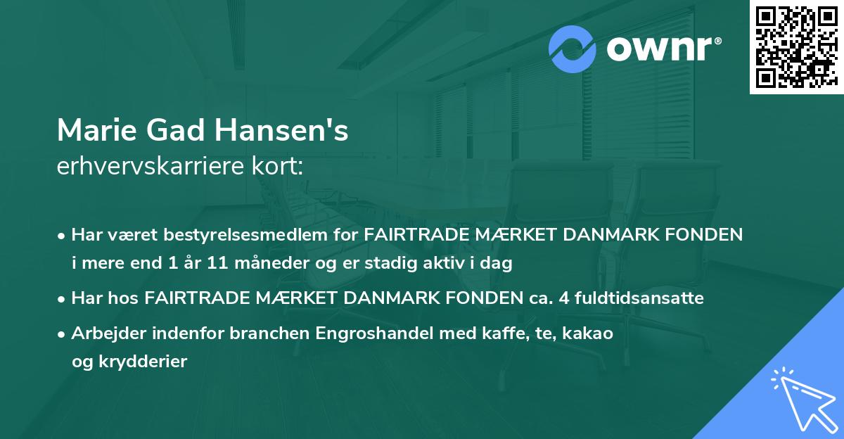 Marie Gad Hansen's erhvervskarriere kort