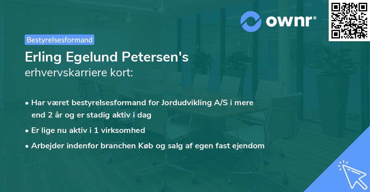 Erling Egelund Petersen's erhvervskarriere kort