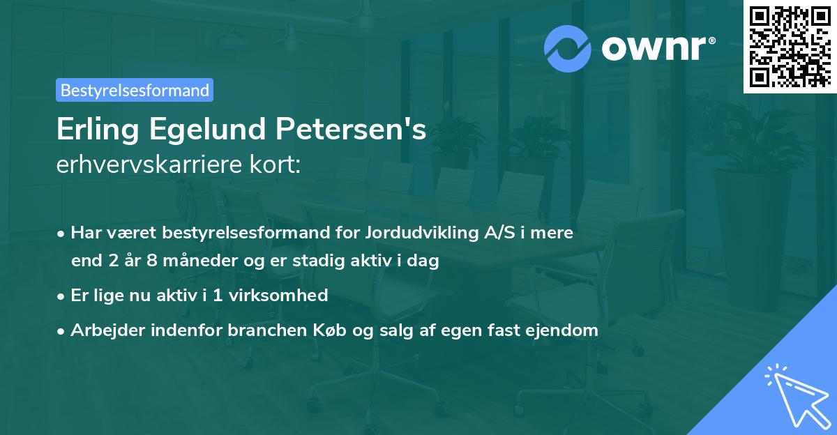 Erling Egelund Petersen's erhvervskarriere kort