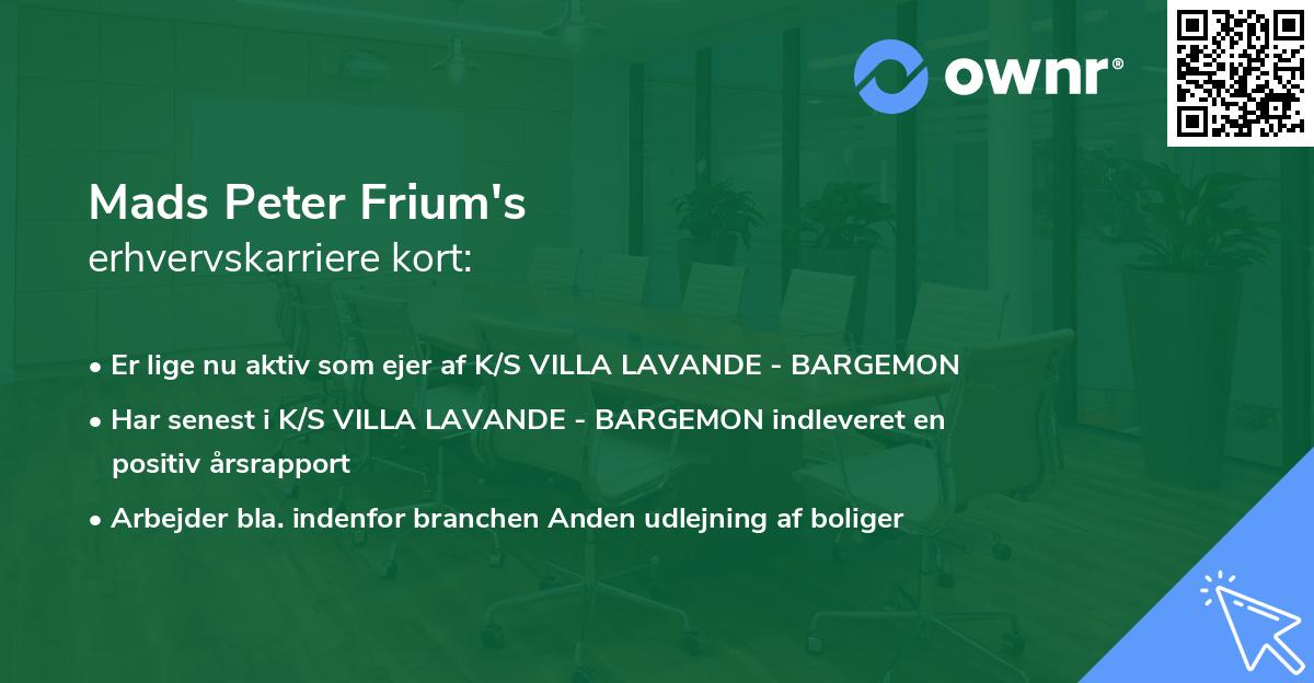 Mads Peter Frium's erhvervskarriere kort