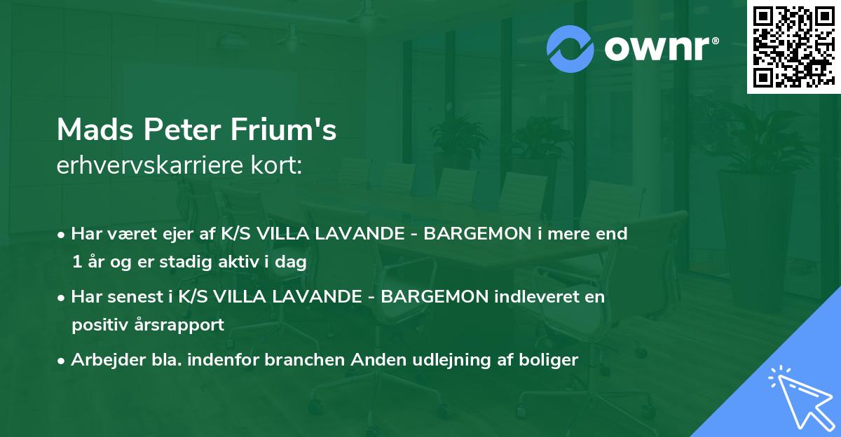 Mads Peter Frium's erhvervskarriere kort