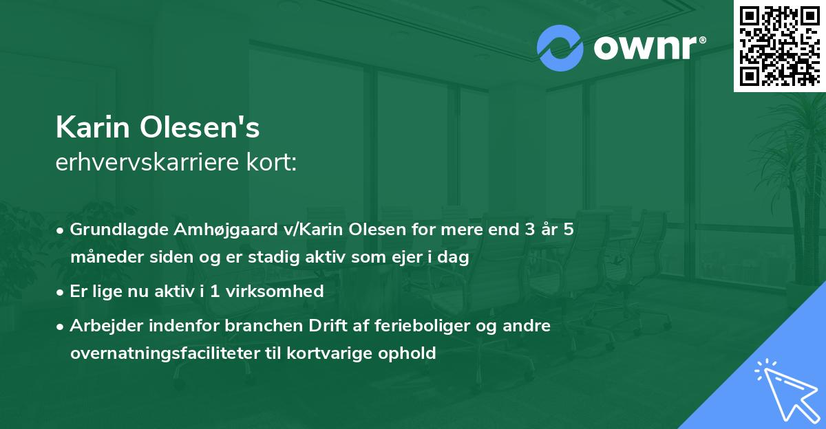 Karin Olesen's erhvervskarriere kort