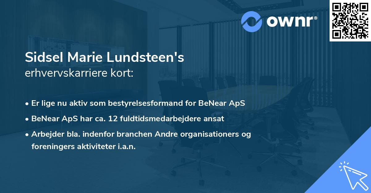 Sidsel Marie Lundsteen's erhvervskarriere kort