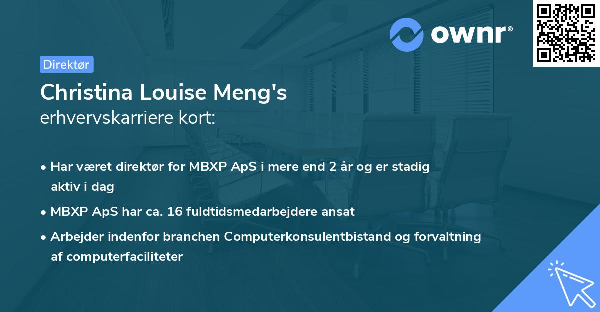 Christina Louise Meng's erhvervskarriere kort