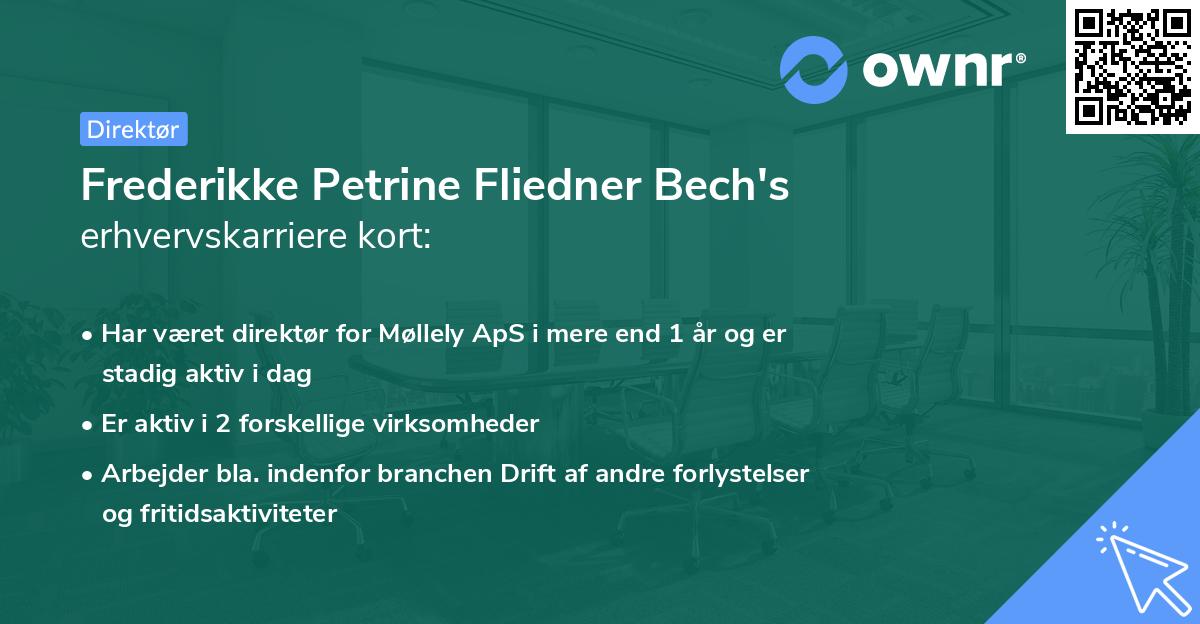 Frederikke Petrine Fliedner Bech's erhvervskarriere kort