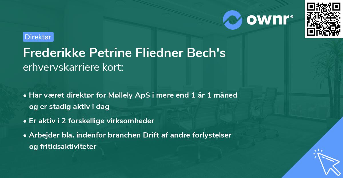 Frederikke Petrine Fliedner Bech's erhvervskarriere kort