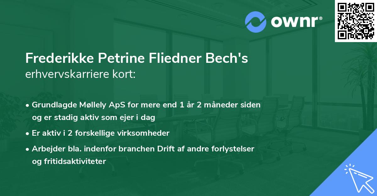 Frederikke Petrine Fliedner Bech's erhvervskarriere kort