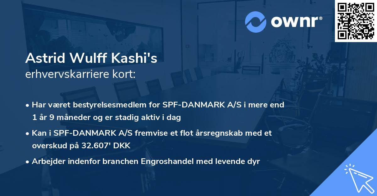 Astrid Wulff Kashi's erhvervskarriere kort