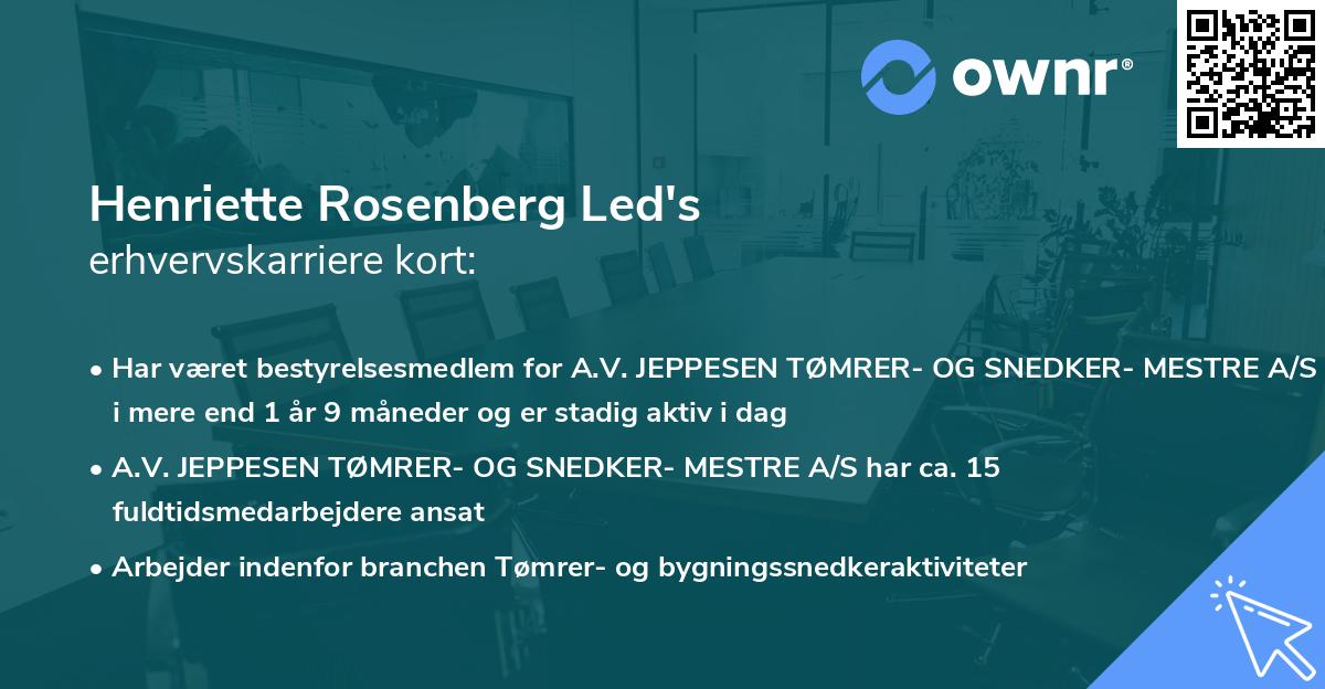 Henriette Rosenberg Led's erhvervskarriere kort