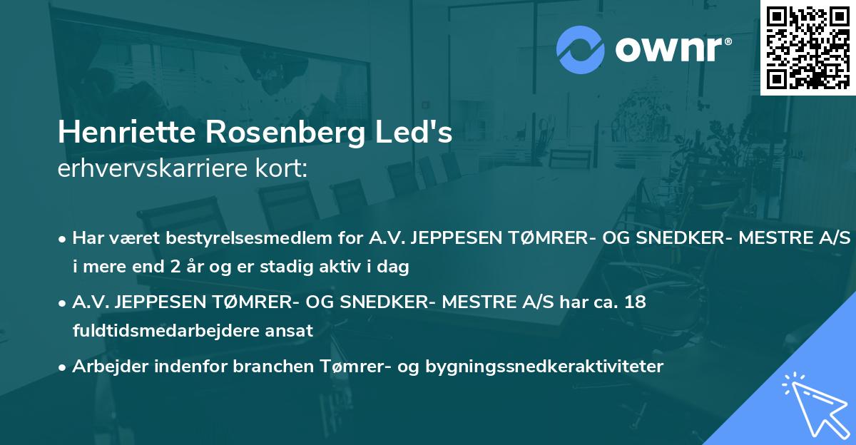 Henriette Rosenberg Led's erhvervskarriere kort