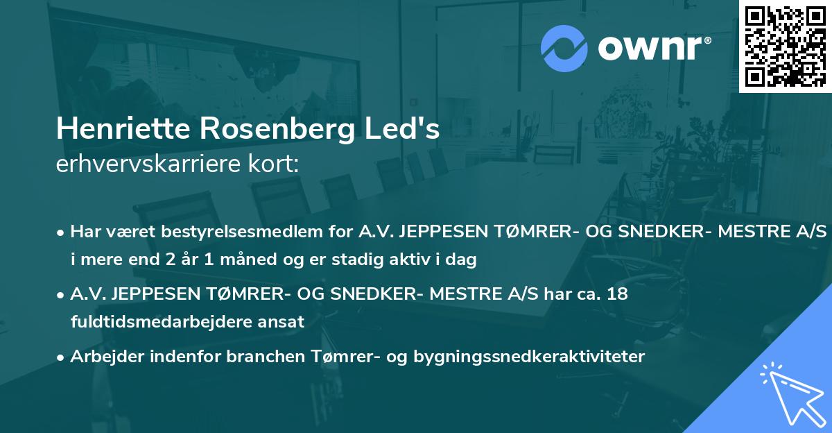 Henriette Rosenberg Led's erhvervskarriere kort