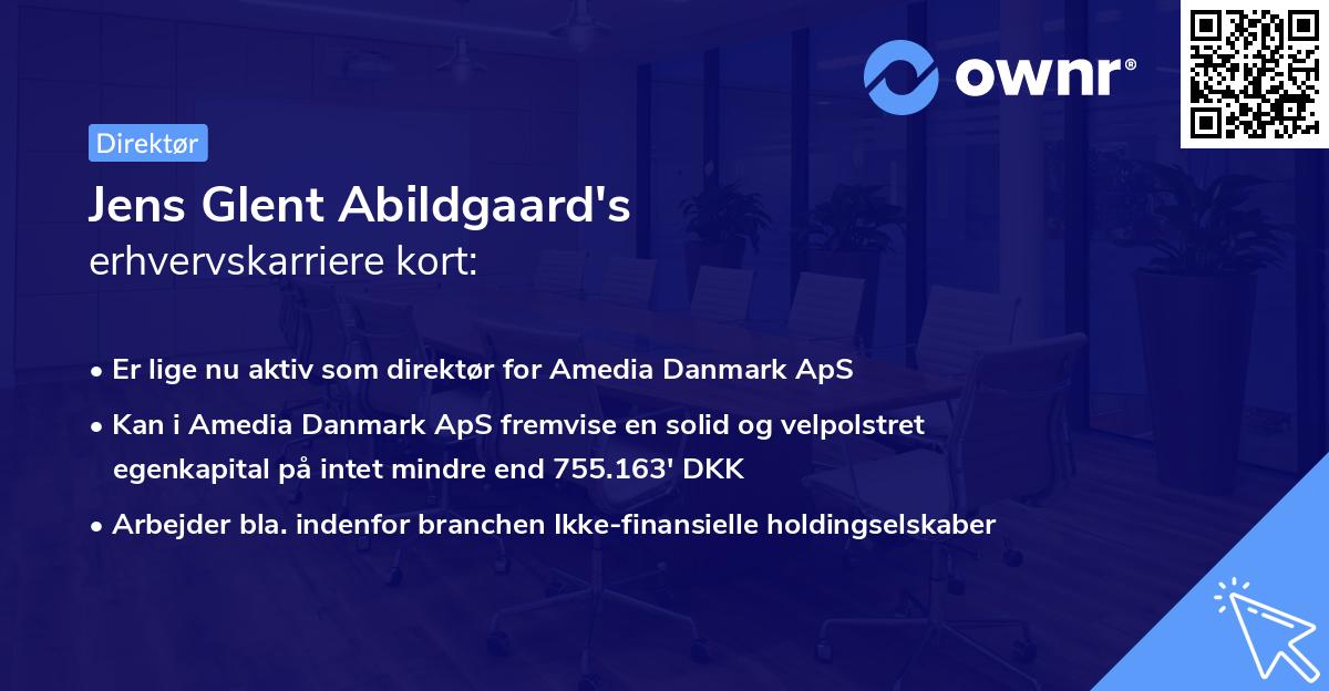 Jens Glent Abildgaard's erhvervskarriere kort