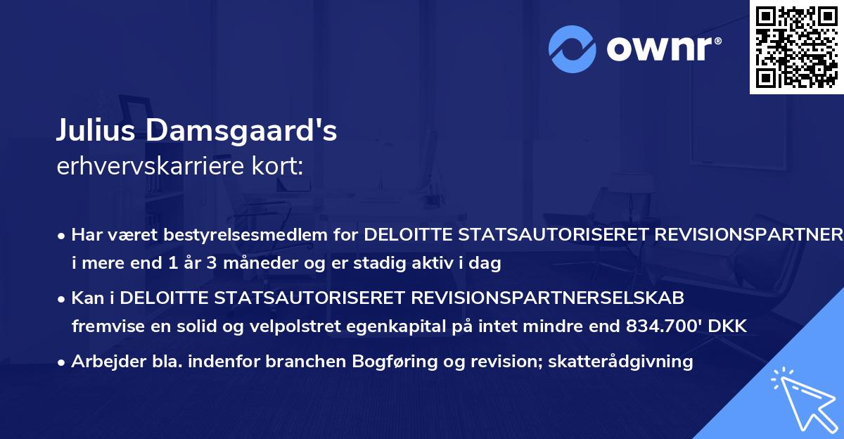 Julius Damsgaard's erhvervskarriere kort