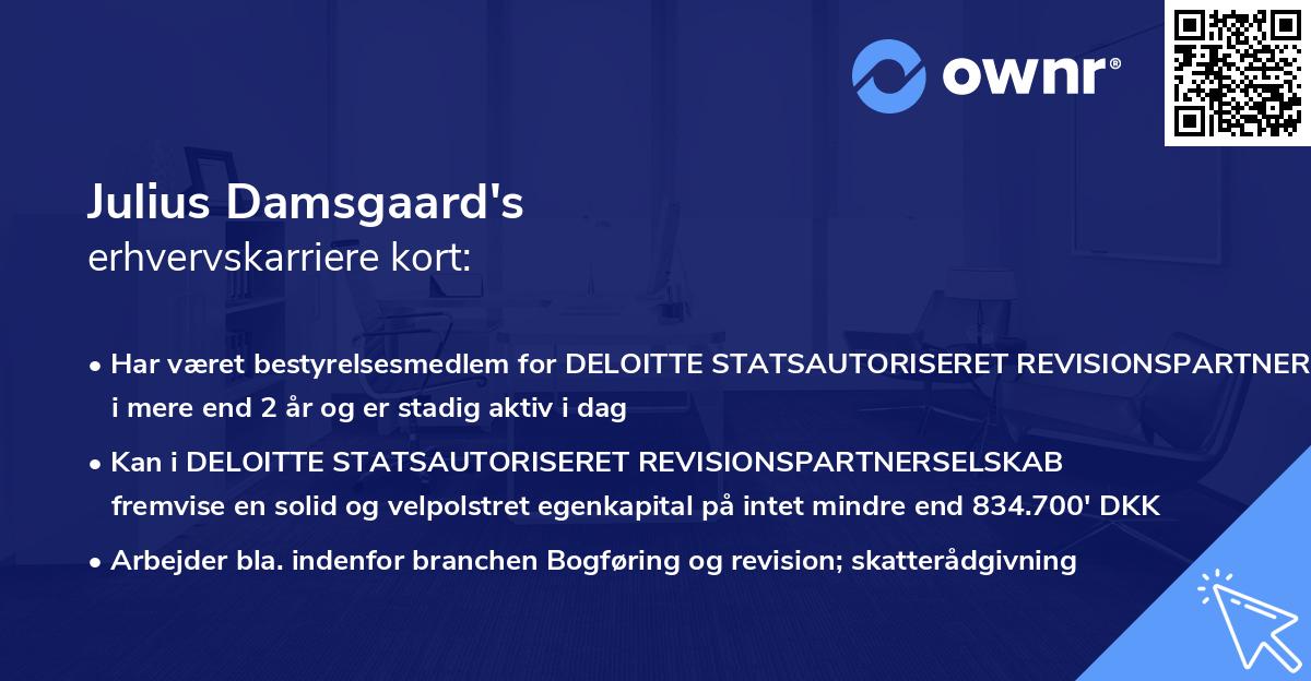 Julius Damsgaard's erhvervskarriere kort