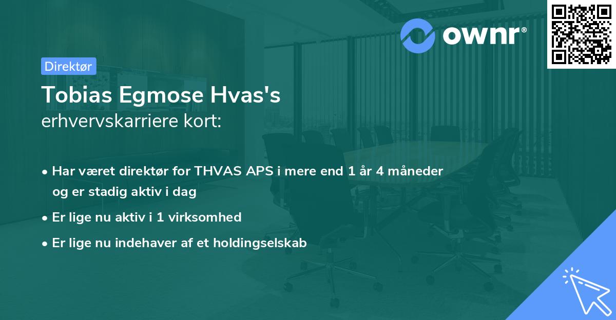 Tobias Egmose Hvas's erhvervskarriere kort