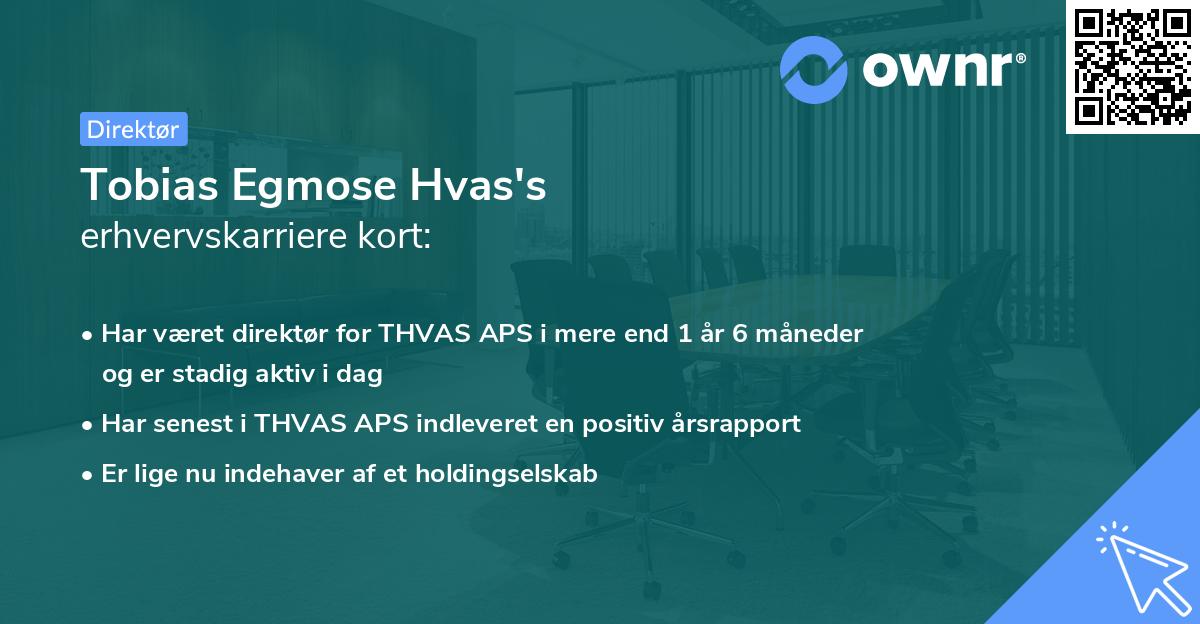 Tobias Egmose Hvas's erhvervskarriere kort