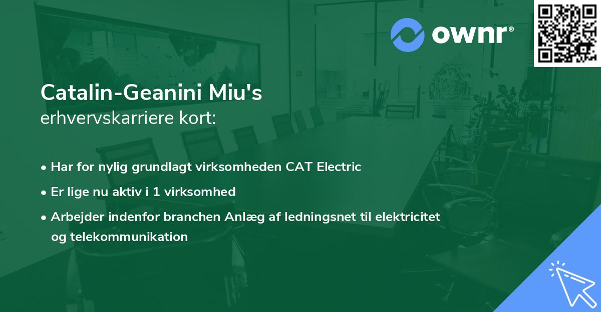 Catalin-Geanini Miu's erhvervskarriere kort