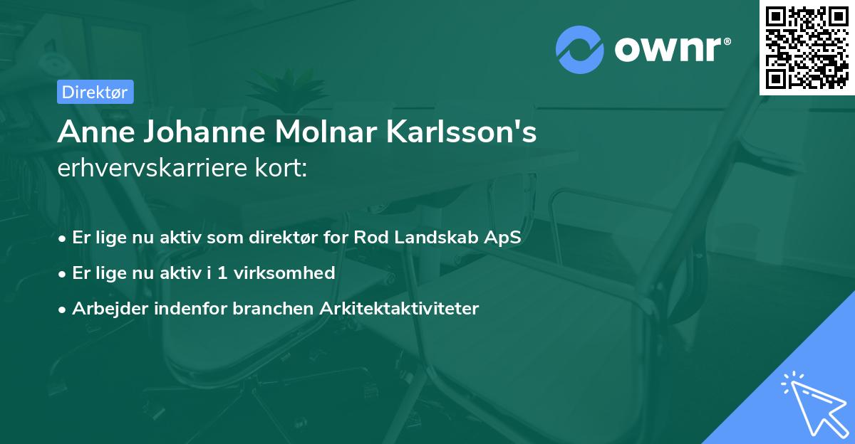 Anne Johanne Molnar Karlsson's erhvervskarriere kort