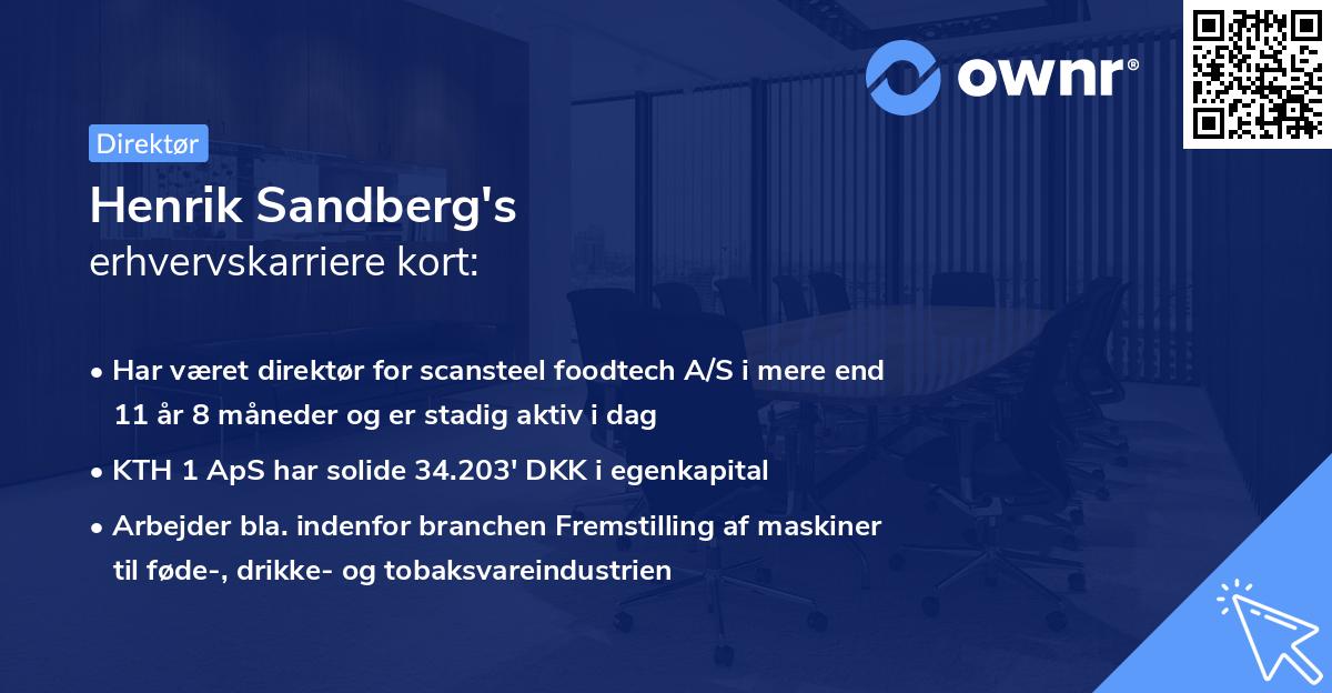 Henrik Sandberg's erhvervskarriere kort