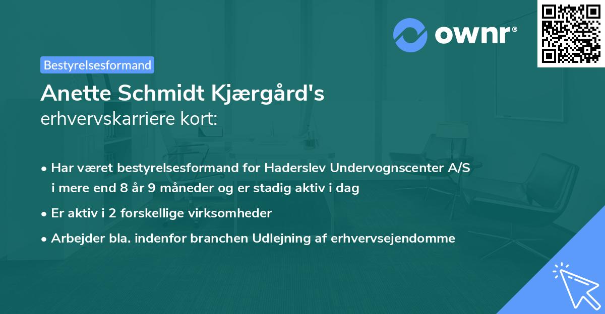 Anette Schmidt Kjærgård's erhvervskarriere kort